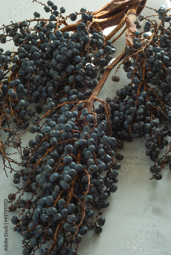 Acai berries, a super healthy product with natural branch