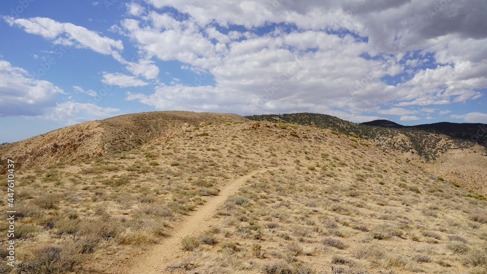 Desert section from Tehachapi Pass on the Thru Hiking footpath PCT (Pacific Crest Trail) in California, USA. 