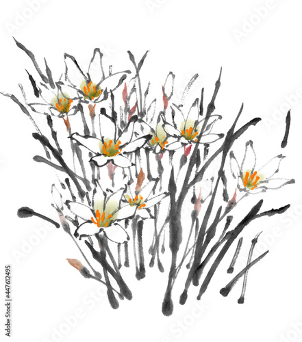 水墨画技法で描かれた玉すだれ