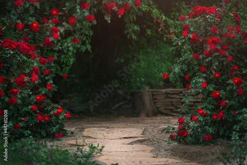 Fototapeta Naklejka Na Ścianę i Meble -  Beautiful garden with blooming rose bushes in summer