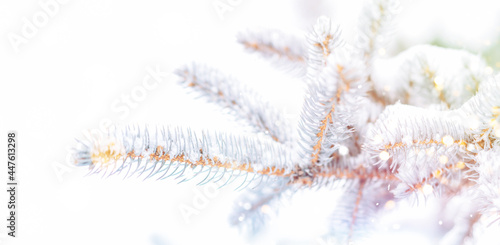 Christmas tree background outdoor with snow, lights bokeh around, and snow falling, Christmas atmosphere