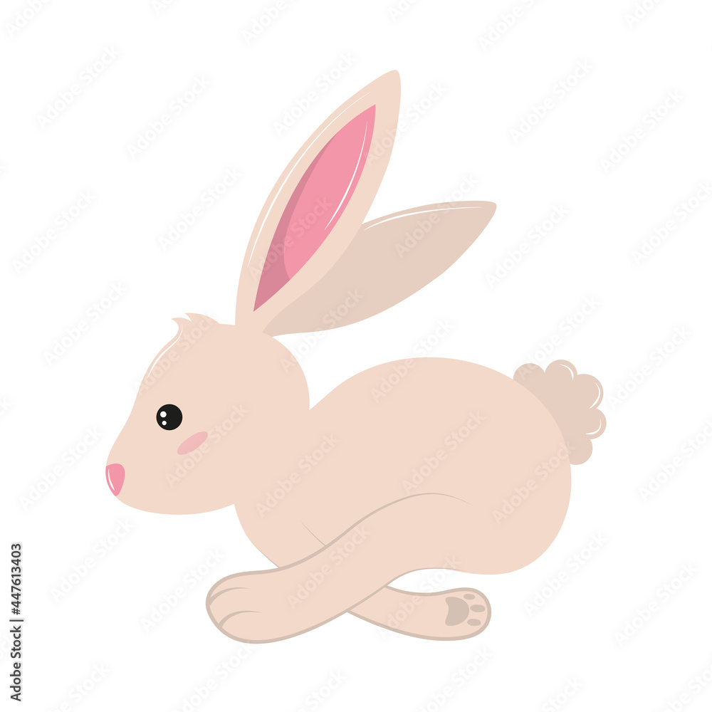 Obraz premium little rabbit jumping