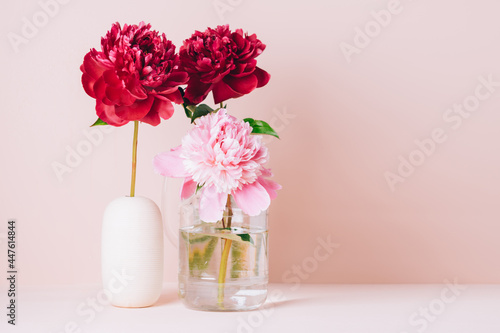 Red peony flower in a vase on a pastel pink background  copy space