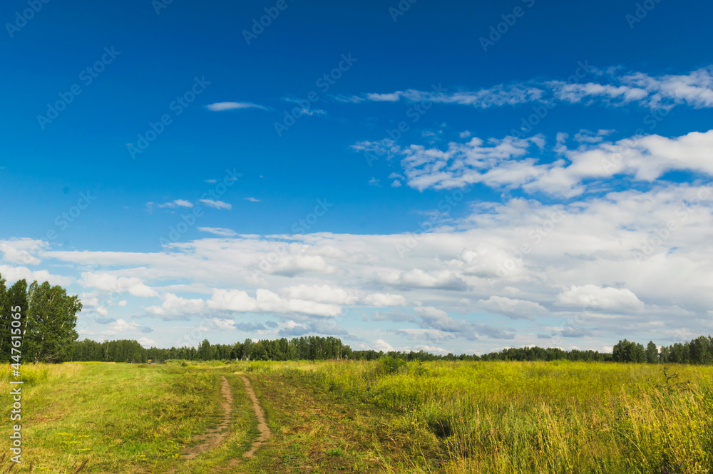 Summer countryside nature landscape. Blue sky white clouds green meadows rural road. Horizontal frame Summer countryside nature landscape. Blue sky white clouds green meadows rural road. Horizontal frame