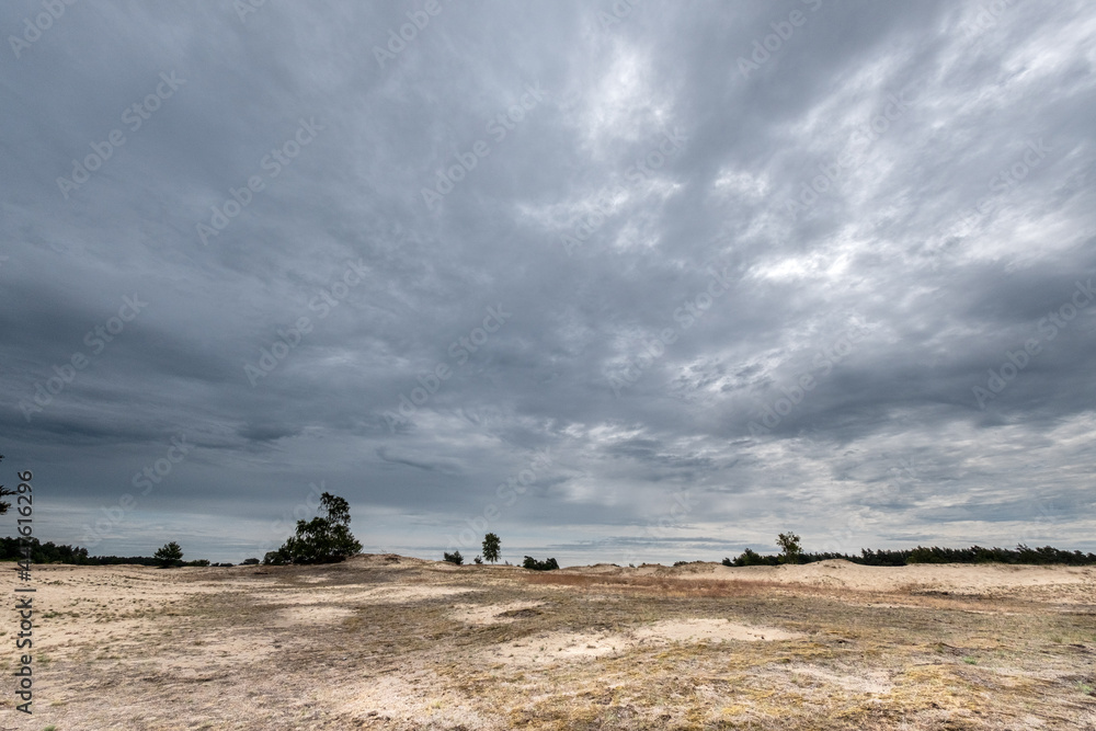 Nature reserve Kootwijkerzand, Gelderland Province, The Netherlands