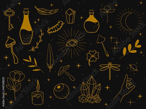 Collection of golden magic items on a dark background. Feathers, plants, eyes, stars, poison bottles, mushrooms, candle, insects, etc. Vector illustration photo