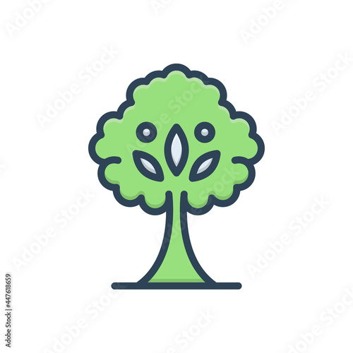 Color illustration icon for tree photo