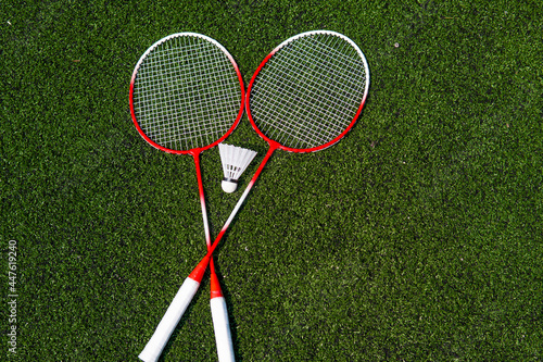 children's game of badminton racket and ruffle on the field