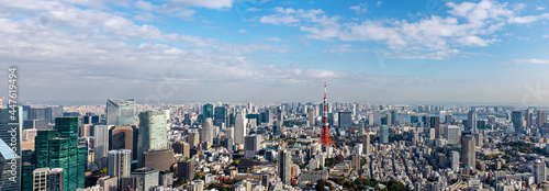 Panoramic aerial view of Tokyo center