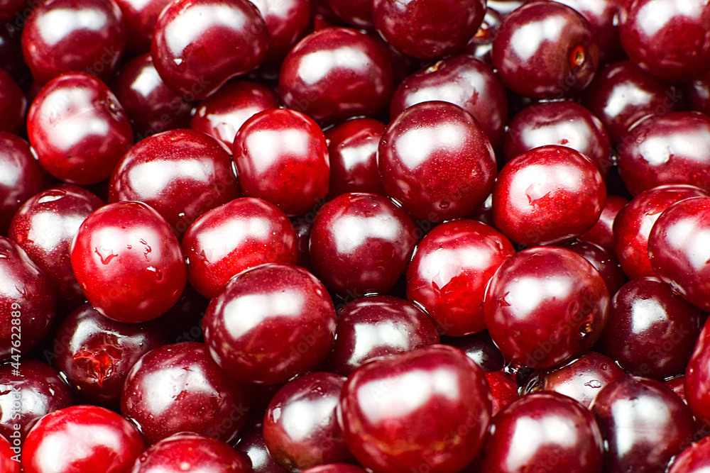 Close-up texture of fresh cherry berries. Dark red background. Close-up texture of fresh cherry berries. Dark red background.