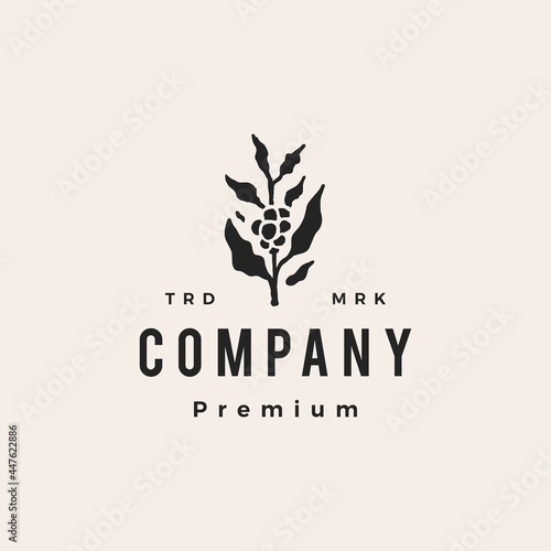 coffee tree hipster vintage logo vector icon illustration