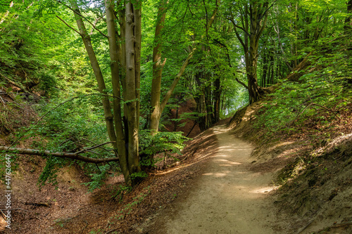 Obraz na płótnie Gorge