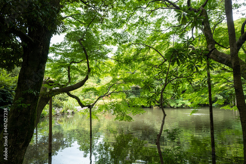 石川県にある鈴木大拙館周辺の自然のある風景 Scenery with nature around D.T. Suzuki Museum in Ishikawa Prefecture