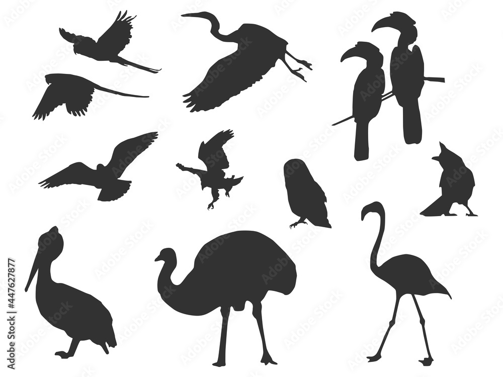 Set vector of the Birds, The shadow of different poses isolated on white background. Set vector of the Birds, The shadow of different poses isolated on white background.