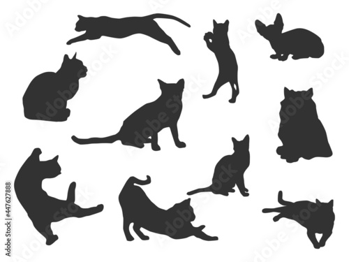 Fototapeta Naklejka Na Ścianę i Meble -  Set vector of the cat, The shadow of different poses isolated on white background.