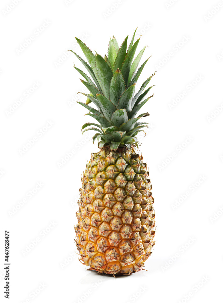 Fototapeta premium pineapple single fruit