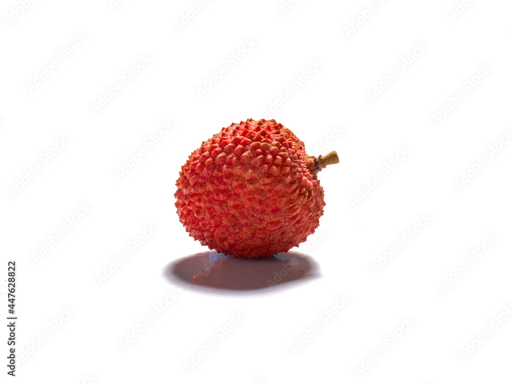 single lychee single lychee