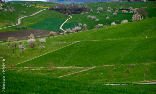 Canton Basel Country,Olsberg AG, surrounding of Arisdorf, landscape photo