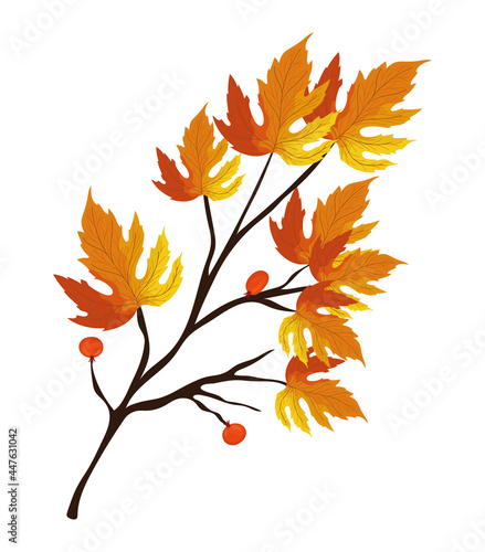 autumn leaves design photo