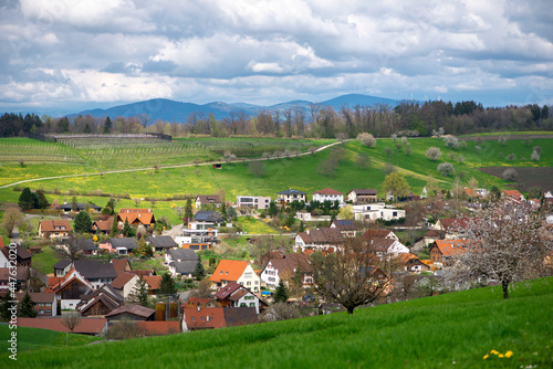 Switzerland, Canton Basel Country,Olsberg, surrounding of Arisdorf, landscape photo