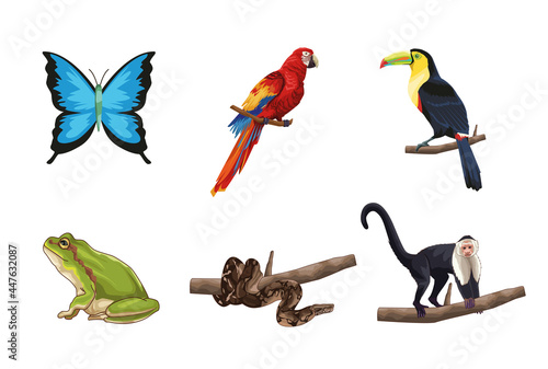 Fototapeta Naklejka Na Ścianę i Meble -  Cute and realistic jungle animals