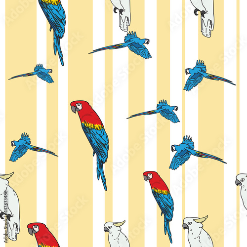 Vector white background tropical birds, parrots, macaw, exotic cockatoo birds. Seamless pattern background