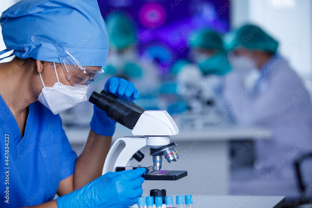 Group of female researchers team concentrated on working with ...
