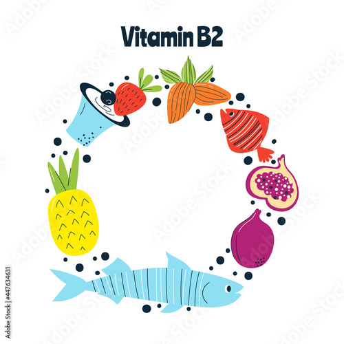 The main food sources of vitamin B2. Healthy food concept.