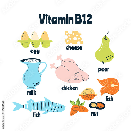 The main food sources of vitamin B12 The concept of healthy eating.