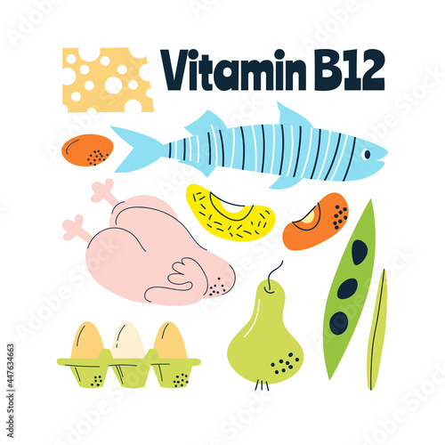 The main food sources of vitamin B12 The concept of healthy eating.