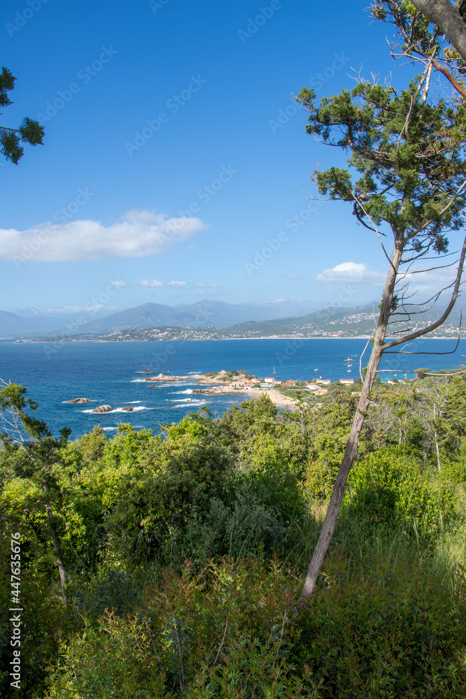 discovery of the island of beauty in southern Corsica, France discovery of the island of beauty in southern Corsica, France