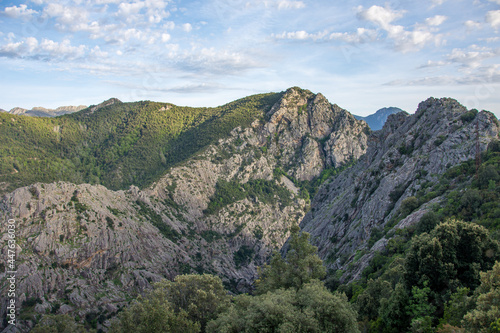 discovery of the island of beauty in southern Corsica, France © seb hovaguimian