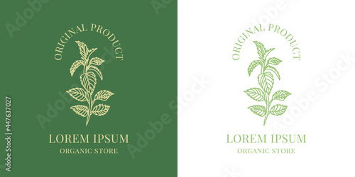 Nettle plant logo. Vector illustration medical herb.