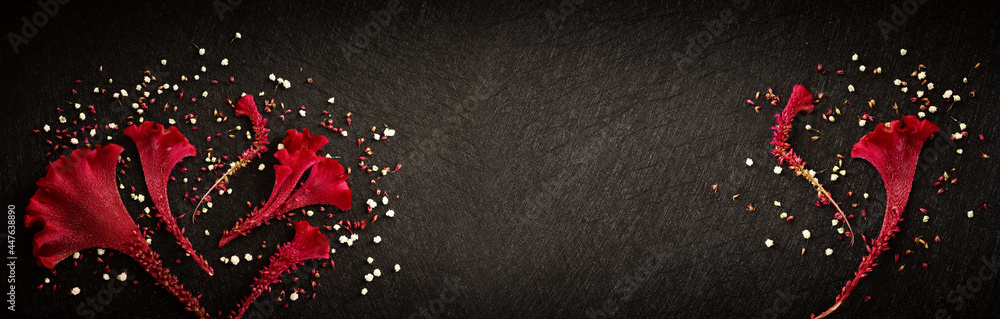Fototapeta premium Top view closeup image of fluffy red flower over black background