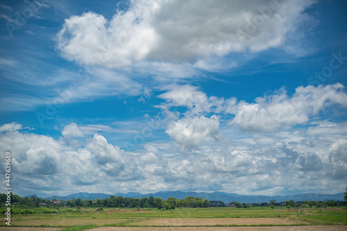 View of rice fields and white clouds in the blue sky