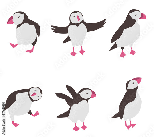 Set of funny puffins in different poses