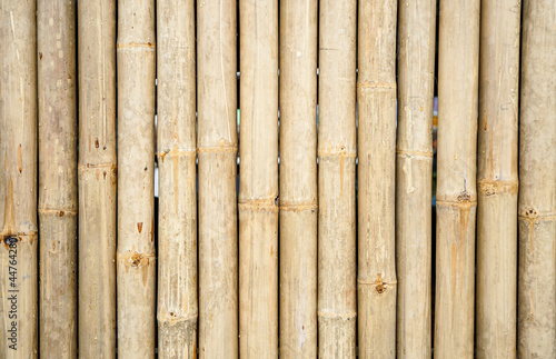 Dry bamboo fence texture can be use as background 