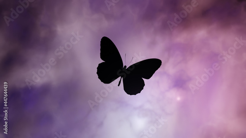 Photography butterfly on a pink fog
