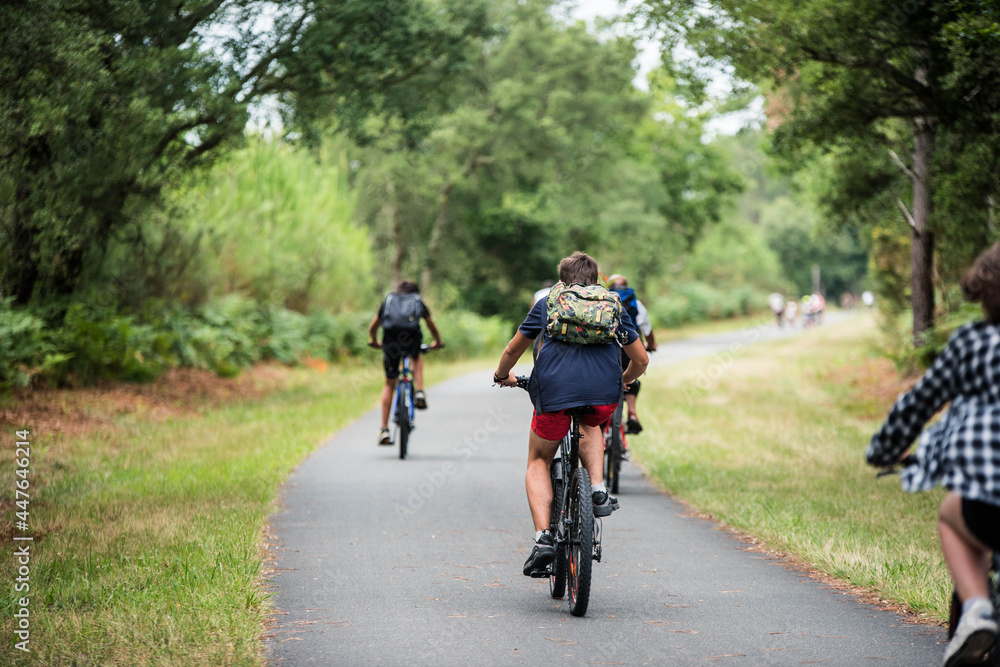 cyclists cycling on the cycle path crossing the forest cyclists cycling on the cycle path crossing the forest