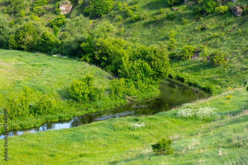 River in green grass in summer © schankz