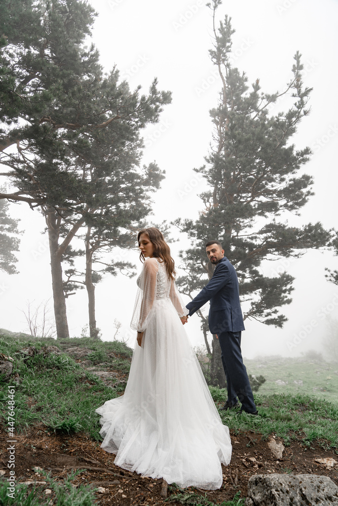 bride and groom hold hands and go in a mysterious misty mountain forest. trust bride and groom hold hands and go in a mysterious misty mountain forest. trust