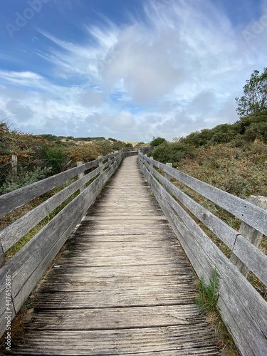 Fototapeta Naklejka Na Ścianę i Meble -  Wooden path over the dunes at Le Touquet, France. The path leads to observatory of the Canche walk