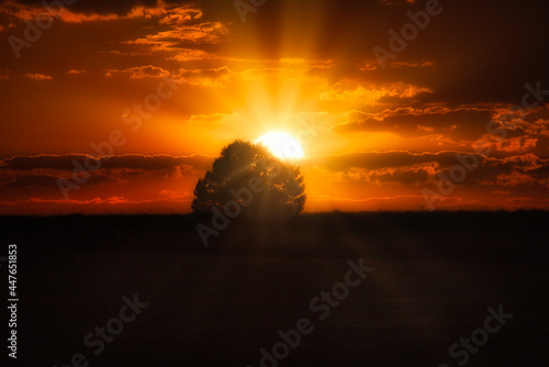 Sunshine