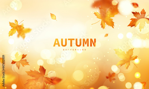 Autumn sale falling leaves background nature