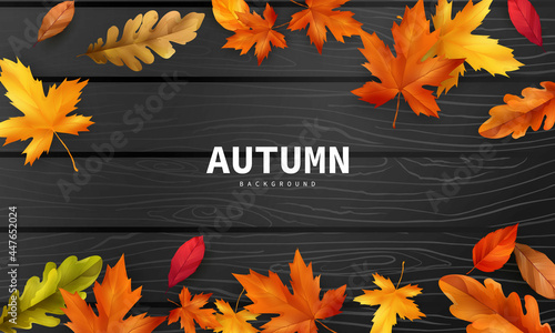Autumn sale falling leaves background nature