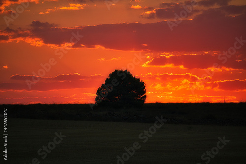 Ocaso