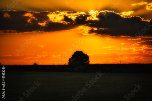 Nubes al atardecer