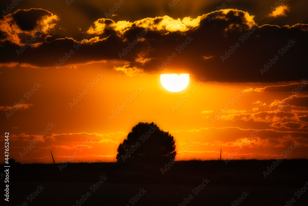 Fototapeta premium Sol