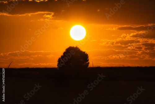 Atardecer