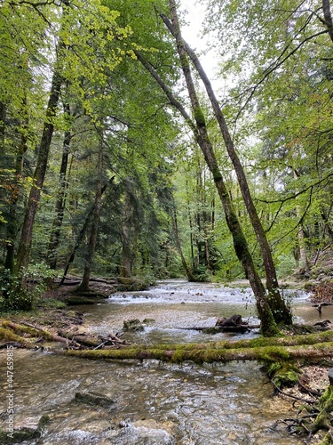 Summer view of the River Herisson, france, jura